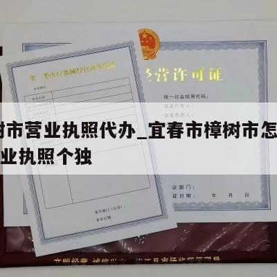 樟树市营业执照代办_宜春市樟树市怎么注销营业执照个独