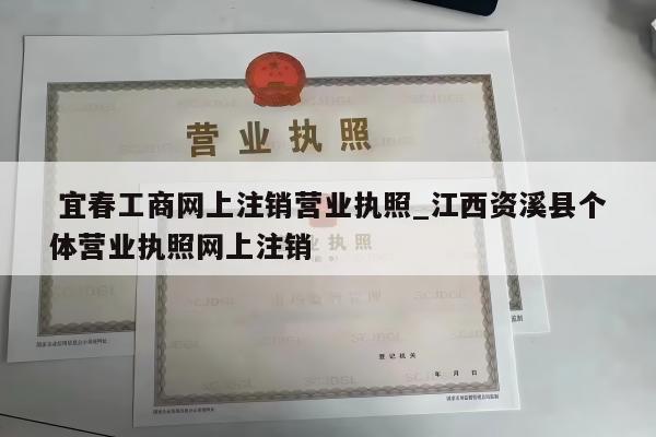  宜春工商网上注销营业执照_江西资溪县个体营业执照网上注销