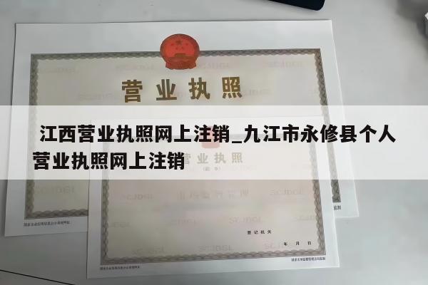 江西营业执照网上注销_九江市永修县个人营业执照网上注销