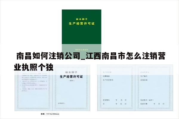  南昌如何注销公司_江西南昌市怎么注销营业执照个独