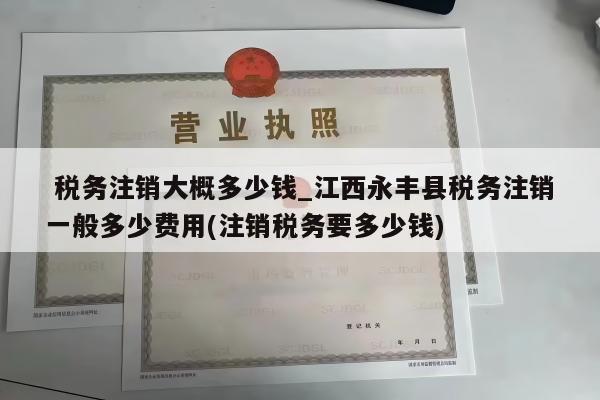  税务注销大概多少钱_江西永丰县税务注销一般多少费用(注销税务要多少钱)