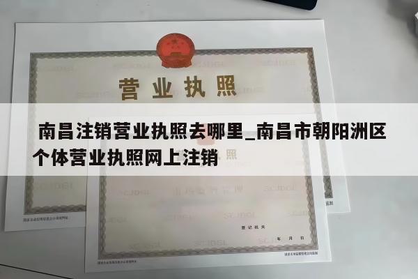  南昌注销营业执照去哪里_南昌市朝阳洲区个体营业执照网上注销