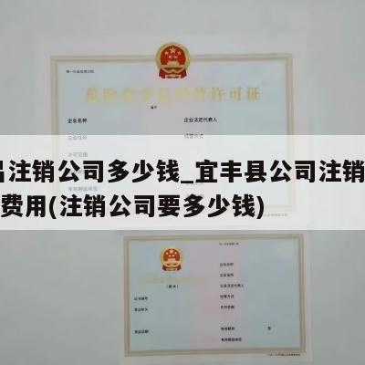  南昌注销公司多少钱_宜丰县公司注销一般多少费用(注销公司要多少钱)