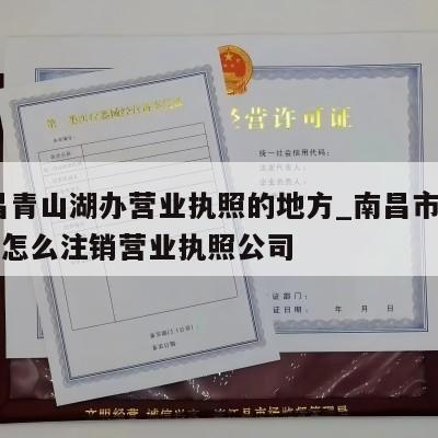  南昌青山湖办营业执照的地方_南昌市青山湖区怎么注销营业执照公司