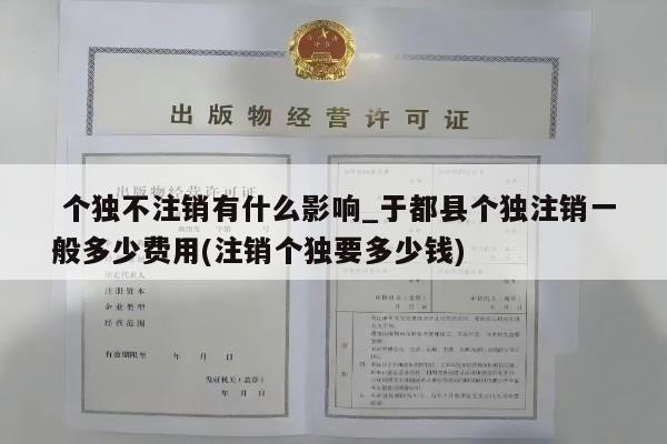  个独不注销有什么影响_于都县个独注销一般多少费用(注销个独要多少钱)