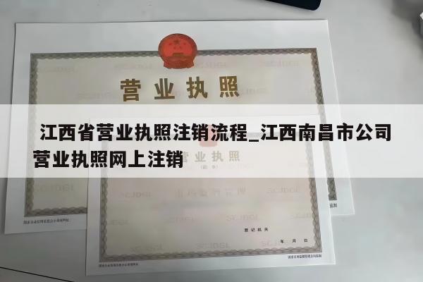  江西省营业执照注销流程_江西南昌市公司营业执照网上注销