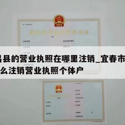  南昌县的营业执照在哪里注销_宜春市奉新县怎么注销营业执照个体户