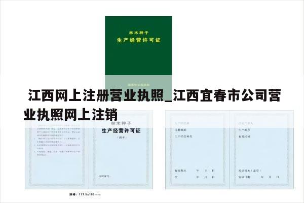  江西网上注册营业执照_江西宜春市公司营业执照网上注销