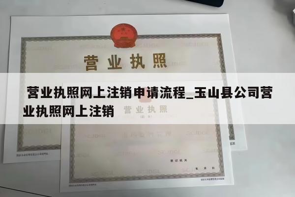  营业执照网上注销申请流程_玉山县公司营业执照网上注销