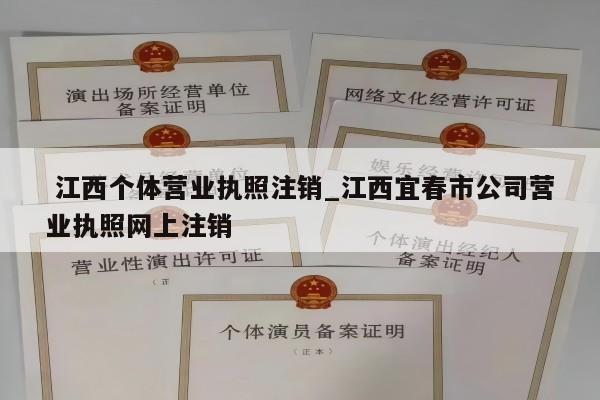 江西个体营业执照注销_江西宜春市公司营业执照网上注销