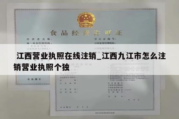  江西营业执照在线注销_江西九江市怎么注销营业执照个独