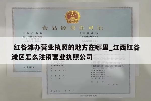 红谷滩办营业执照的地方在哪里_江西红谷滩区怎么注销营业执照公司