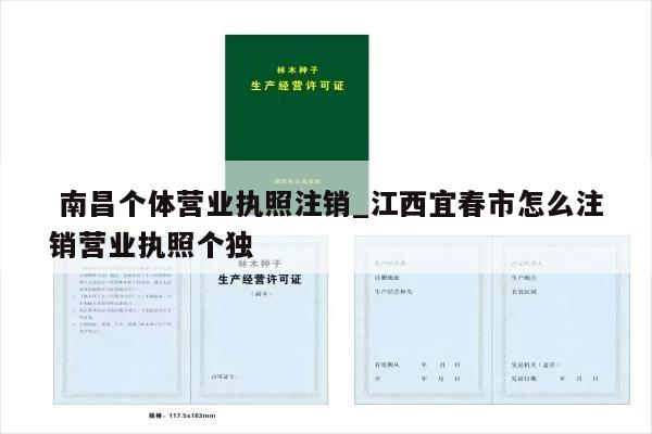  南昌个体营业执照注销_江西宜春市怎么注销营业执照个独