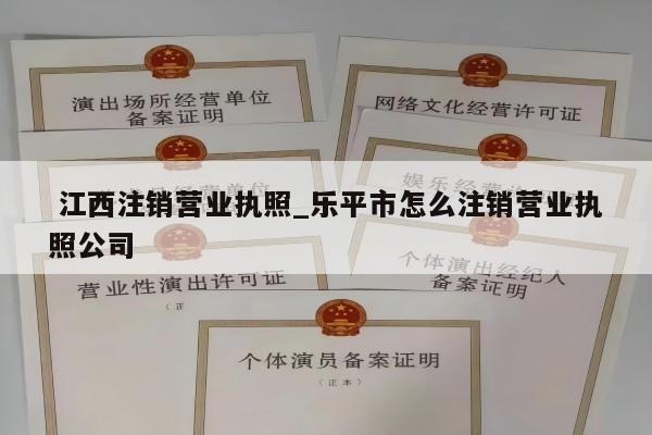  江西注销营业执照_乐平市怎么注销营业执照公司
