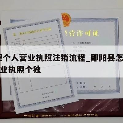  办理个人营业执照注销流程_鄱阳县怎么注销营业执照个独