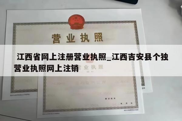  江西省网上注册营业执照_江西吉安县个独营业执照网上注销