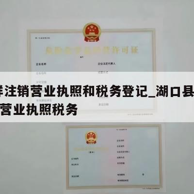  怎样注销营业执照和税务登记_湖口县怎么注销营业执照税务