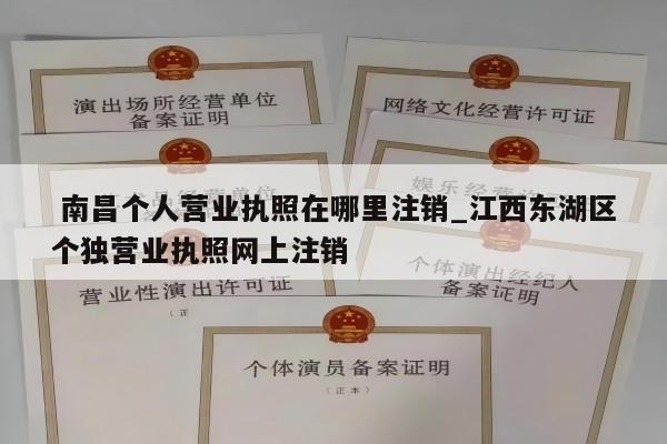  南昌个人营业执照在哪里注销_江西东湖区个独营业执照网上注销