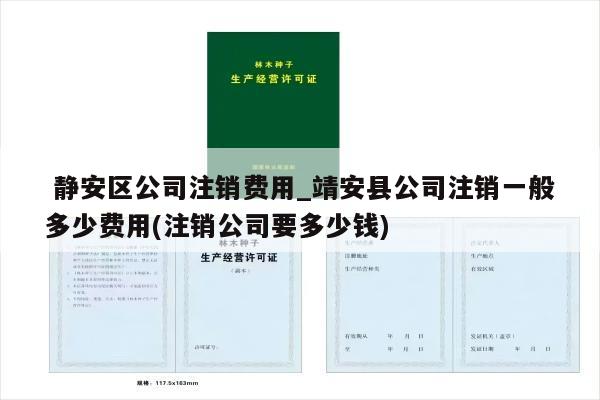 静安区公司注销费用_靖安县公司注销一般多少费用(注销公司要多少钱)