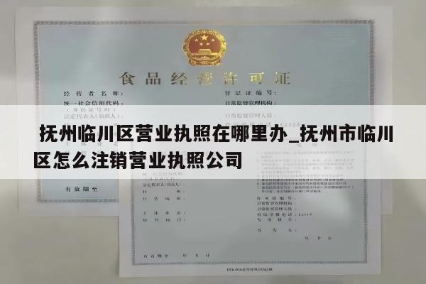  抚州临川区营业执照在哪里办_抚州市临川区怎么注销营业执照公司