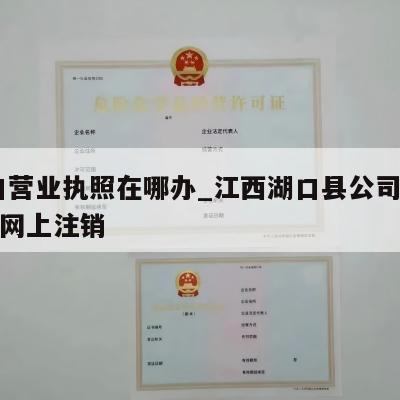  湖口营业执照在哪办_江西湖口县公司营业执照网上注销