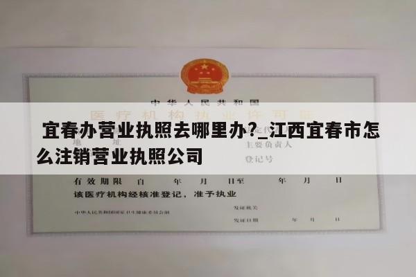  宜春办营业执照去哪里办?_江西宜春市怎么注销营业执照公司