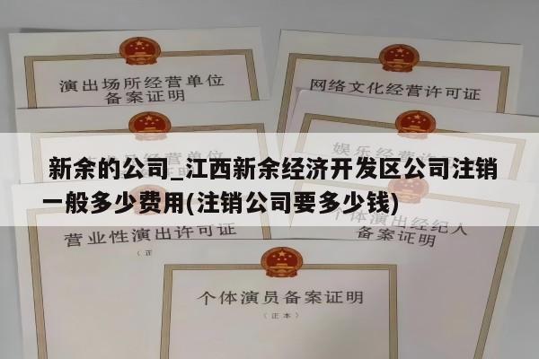  新余的公司_江西新余经济开发区公司注销一般多少费用(注销公司要多少钱)