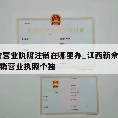  新余营业执照注销在哪里办_江西新余市怎么注销营业执照个独