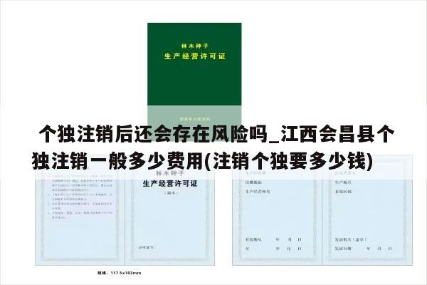  个独注销后还会存在风险吗_江西会昌县个独注销一般多少费用(注销个独要多少钱)