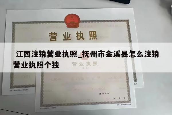  江西注销营业执照_抚州市金溪县怎么注销营业执照个独