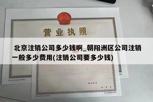  北京注销公司多少钱啊_朝阳洲区公司注销一般多少费用(注销公司要多少钱)