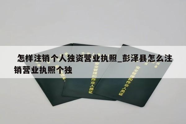  怎样注销个人独资营业执照_彭泽县怎么注销营业执照个独