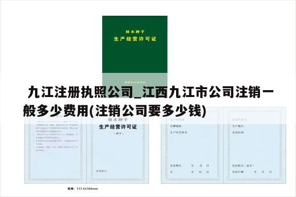  九江注册执照公司_江西九江市公司注销一般多少费用(注销公司要多少钱)