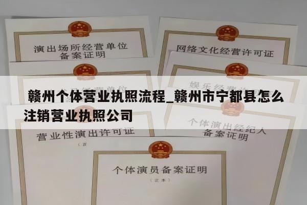  赣州个体营业执照流程_赣州市宁都县怎么注销营业执照公司