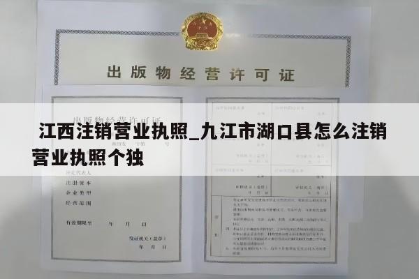  江西注销营业执照_九江市湖口县怎么注销营业执照个独