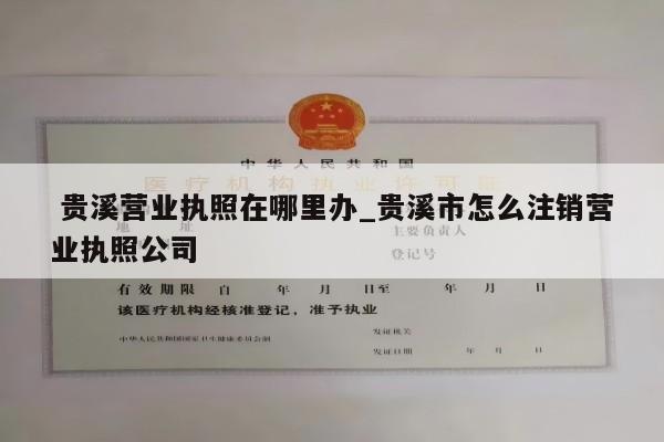  贵溪营业执照在哪里办_贵溪市怎么注销营业执照公司