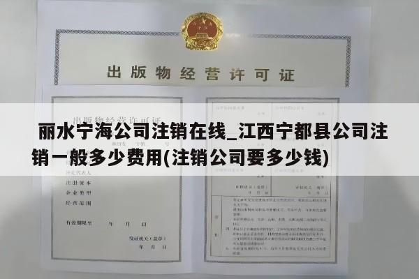  丽水宁海公司注销在线_江西宁都县公司注销一般多少费用(注销公司要多少钱)