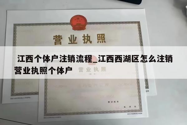  江西个体户注销流程_江西西湖区怎么注销营业执照个体户
