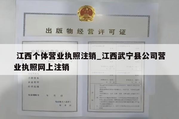  江西个体营业执照注销_江西武宁县公司营业执照网上注销