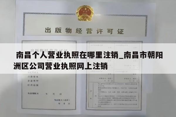  南昌个人营业执照在哪里注销_南昌市朝阳洲区公司营业执照网上注销