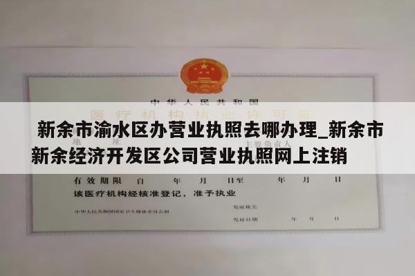  新余市渝水区办营业执照去哪办理_新余市新余经济开发区公司营业执照网上注销