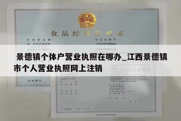  景德镇个体户营业执照在哪办_江西景德镇市个人营业执照网上注销