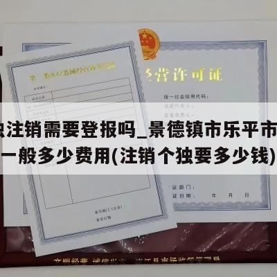  个独注销需要登报吗_景德镇市乐平市个独注销一般多少费用(注销个独要多少钱)
