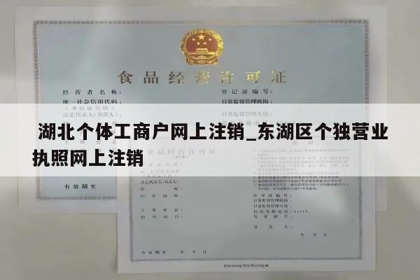  湖北个体工商户网上注销_东湖区个独营业执照网上注销
