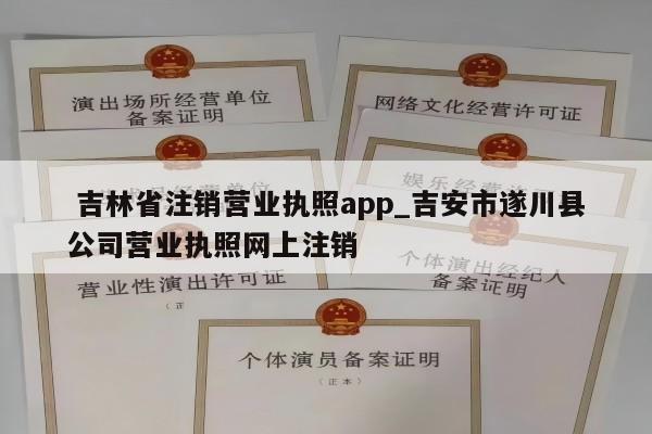  吉林省注销营业执照app_吉安市遂川县公司营业执照网上注销