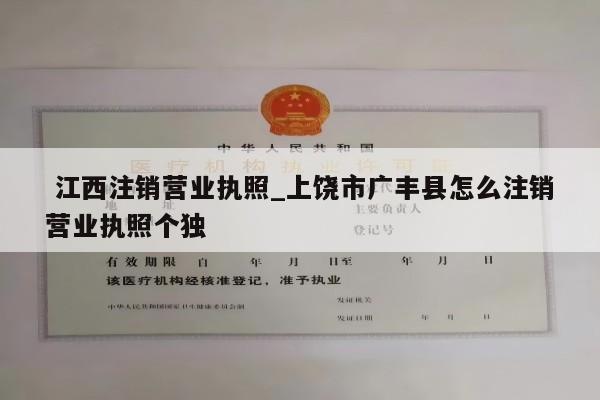  江西注销营业执照_上饶市广丰县怎么注销营业执照个独