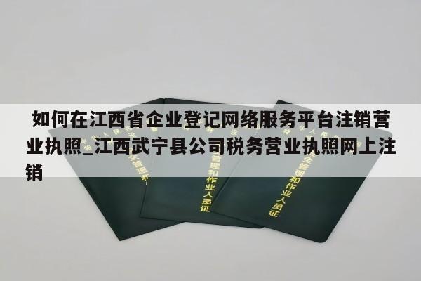  如何在江西省企业登记网络服务平台注销营业执照_江西武宁县公司税务营业执照网上注销