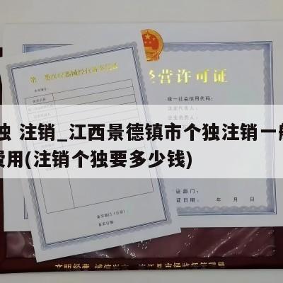  个独 注销_江西景德镇市个独注销一般多少费用(注销个独要多少钱)