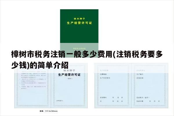 樟树市税务注销一般多少费用(注销税务要多少钱)的简单介绍