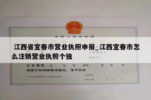  江西省宜春市营业执照申报_江西宜春市怎么注销营业执照个独